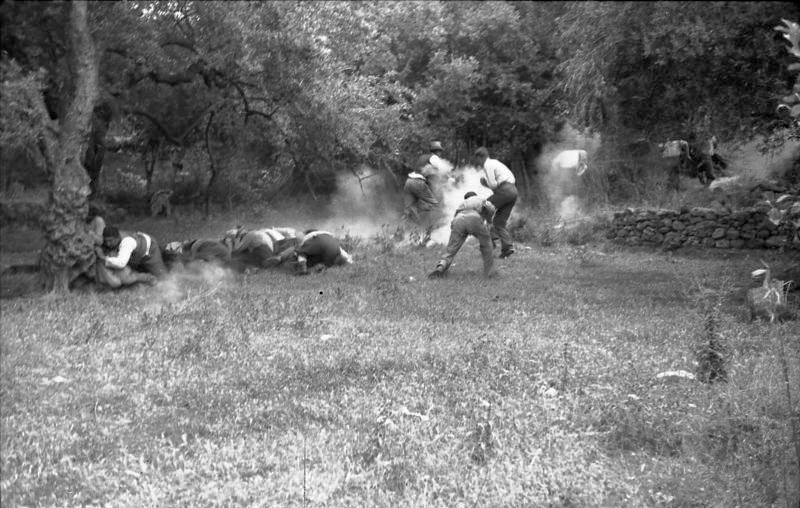 Battle of Crete