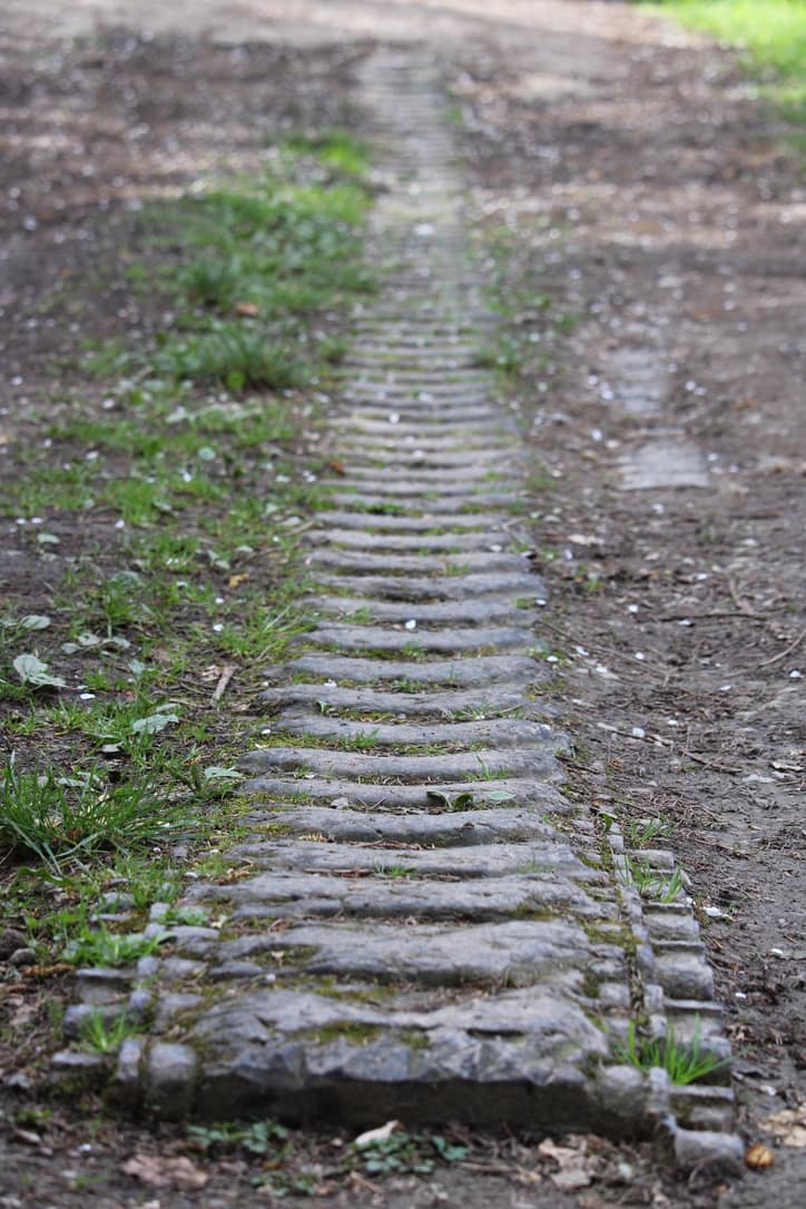 Participants from the 21st Theater Sustainment Command viewed tracks from a U.S. Army M4 Sherman tank abandoned along the Kall River trail in the Huertgen Forest May 3, 2023 near Aachen, Germany. Staff rides allow member