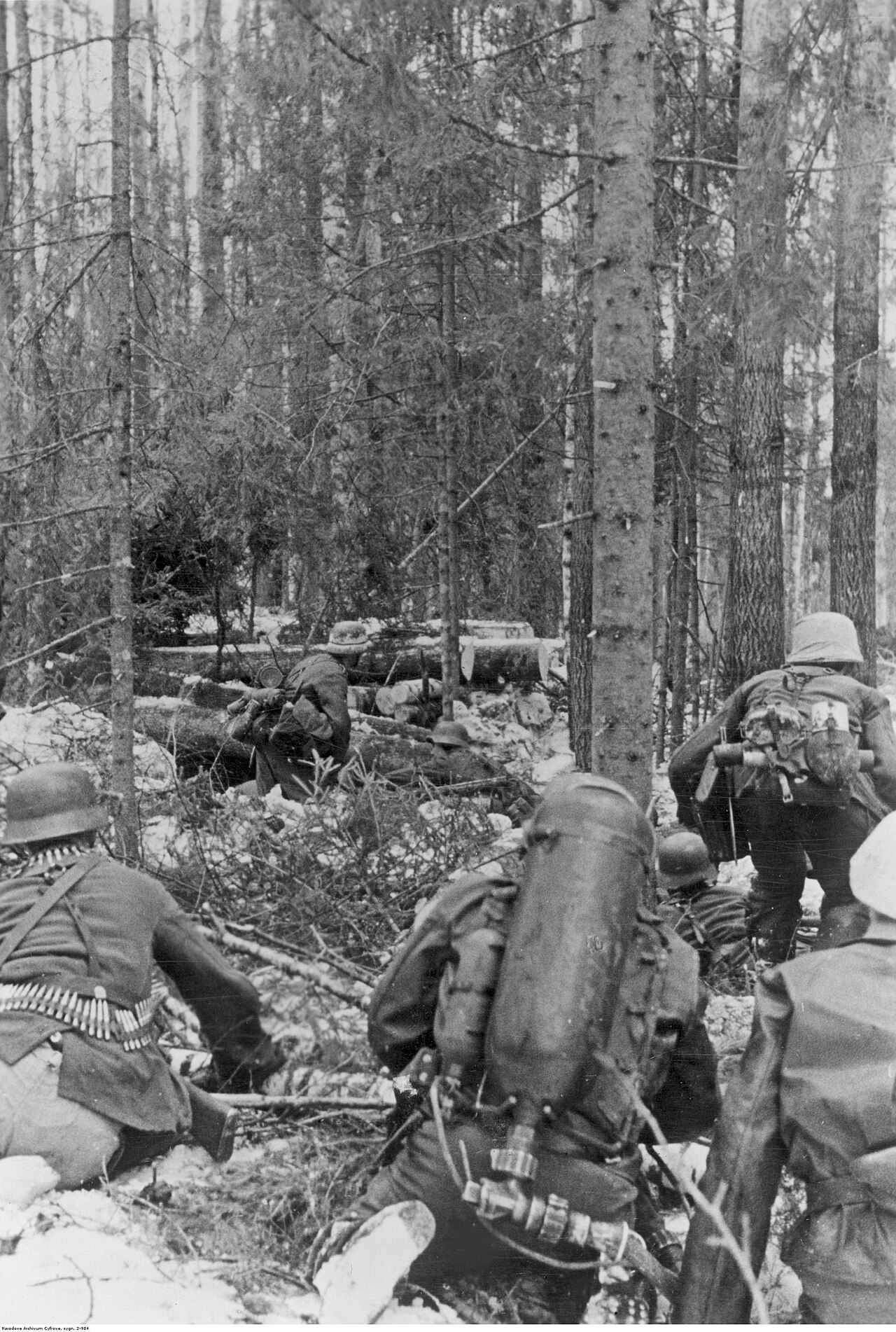 Piechota niemiecka podczas walk w lesie na froncie wschodnim. Żołnierze kryją się za drzewami, jeden z nich ma na plecach miotacz płomieni Flammenwerfer 35.