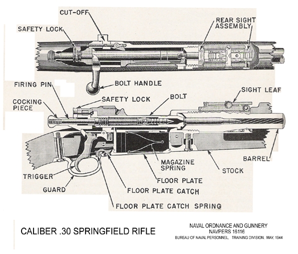 Diagram of the .30 Springfield Rifle Mod 03