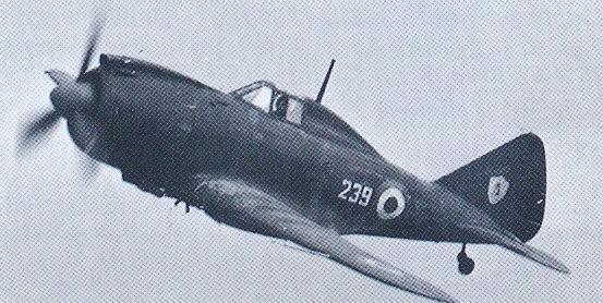 Italian Reggiane Re.2002 fighter of the 293ª Squadriglia of the Italian Co-Belligerent Air Force