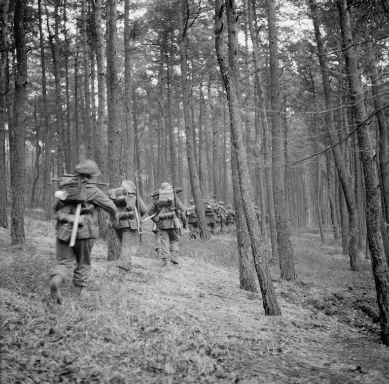 The British Army in North-west Europe 1944-45 Infantry advance through the Reichswald during Operation 'Veritable', 8 February 1945.